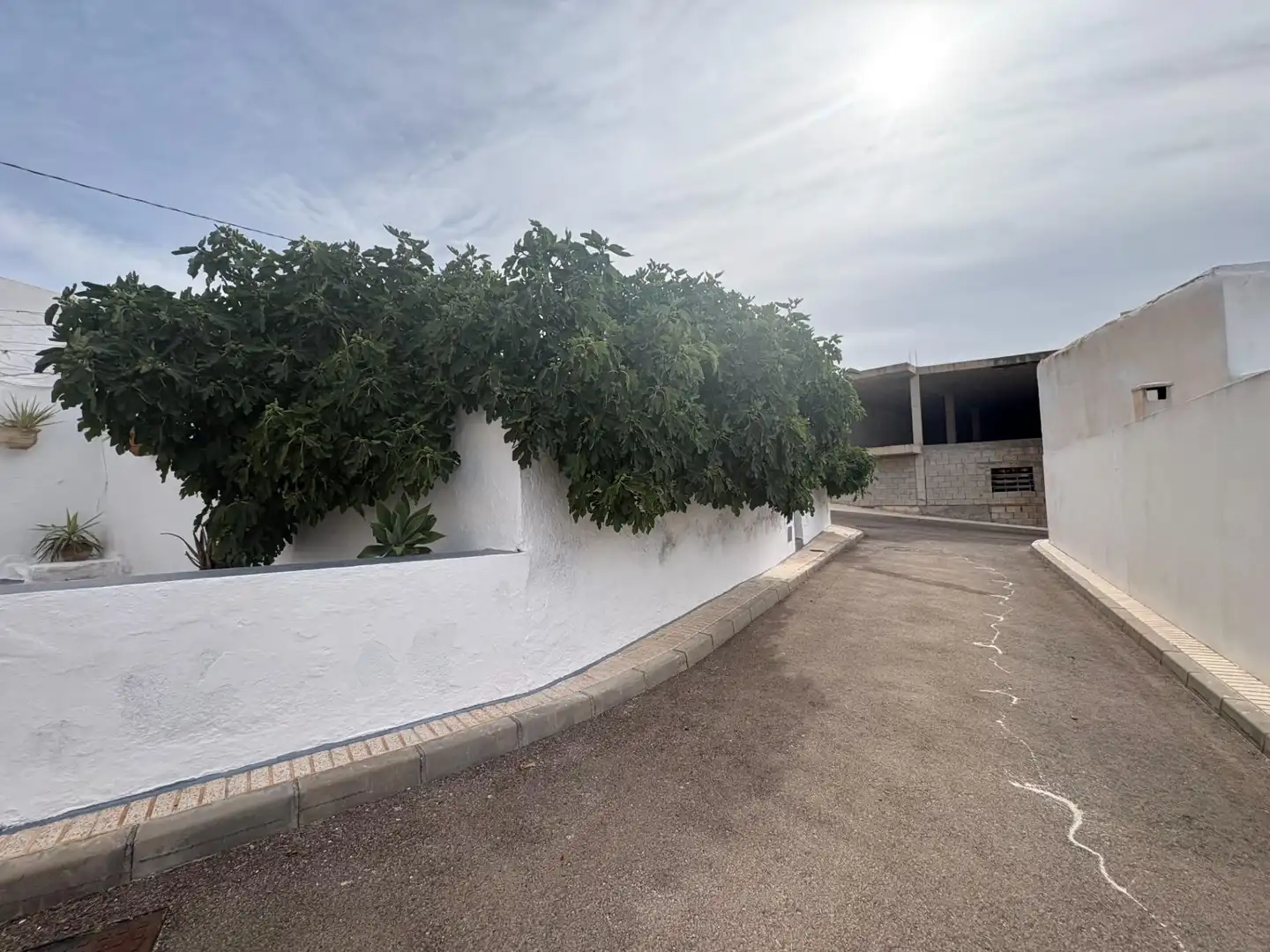 Vista exterior de Casa o xalet en venda en Lucainena de las Torres