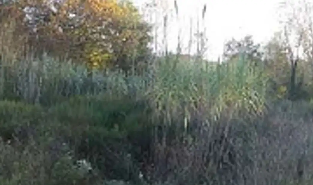 Wohnbaugrundstück zum Verkauf in Terrafortuna - Puig Ventós, imagen 2