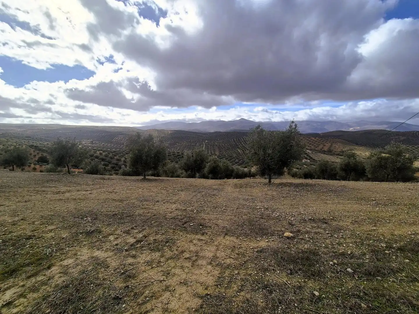Terreno rústico en venta en Salar, imagen 11