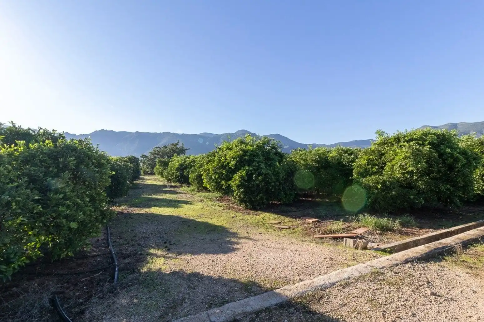 Maison à vendre à Benifairó de la Valldigna - HORTA, imagen 41