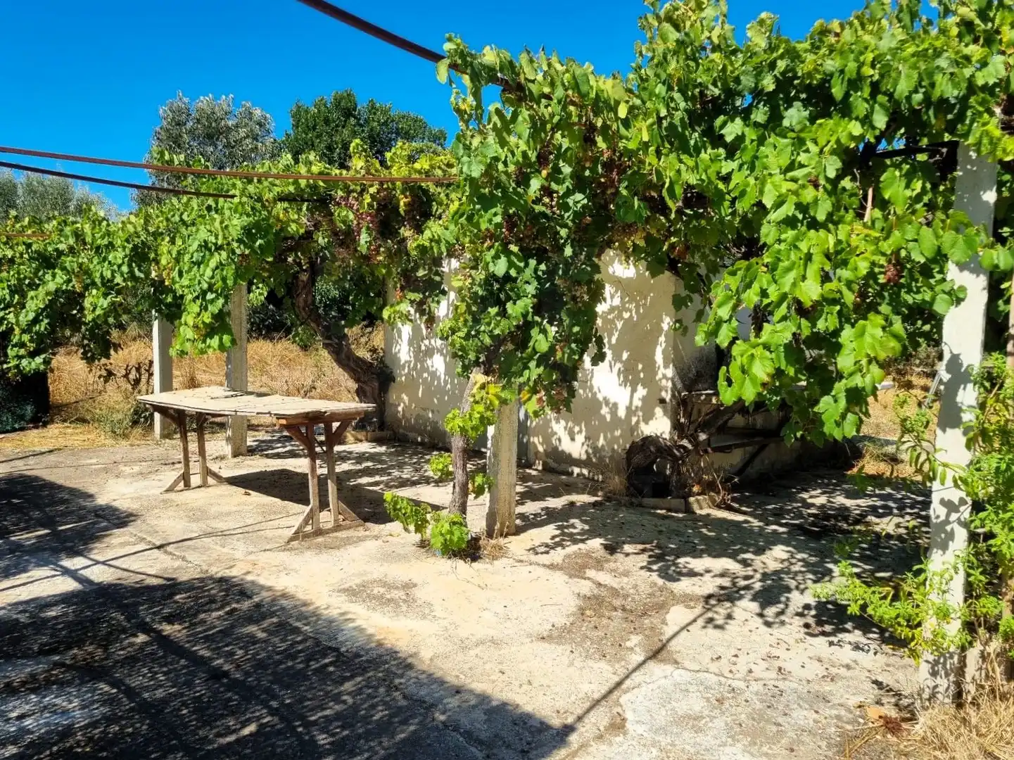 Lands and plots for sale in poligono 17 parcela 32, imagen 4