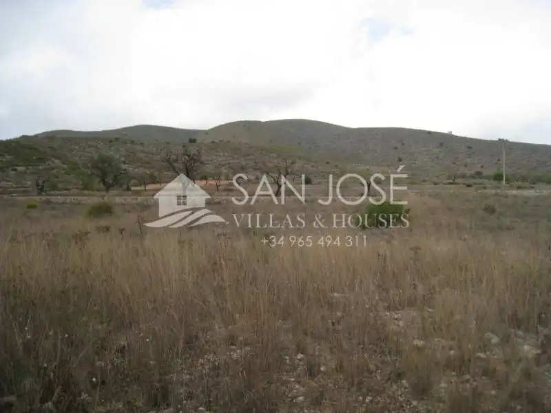 Terreno rustico in vendita a Hondón de los Frailes, imagen 4