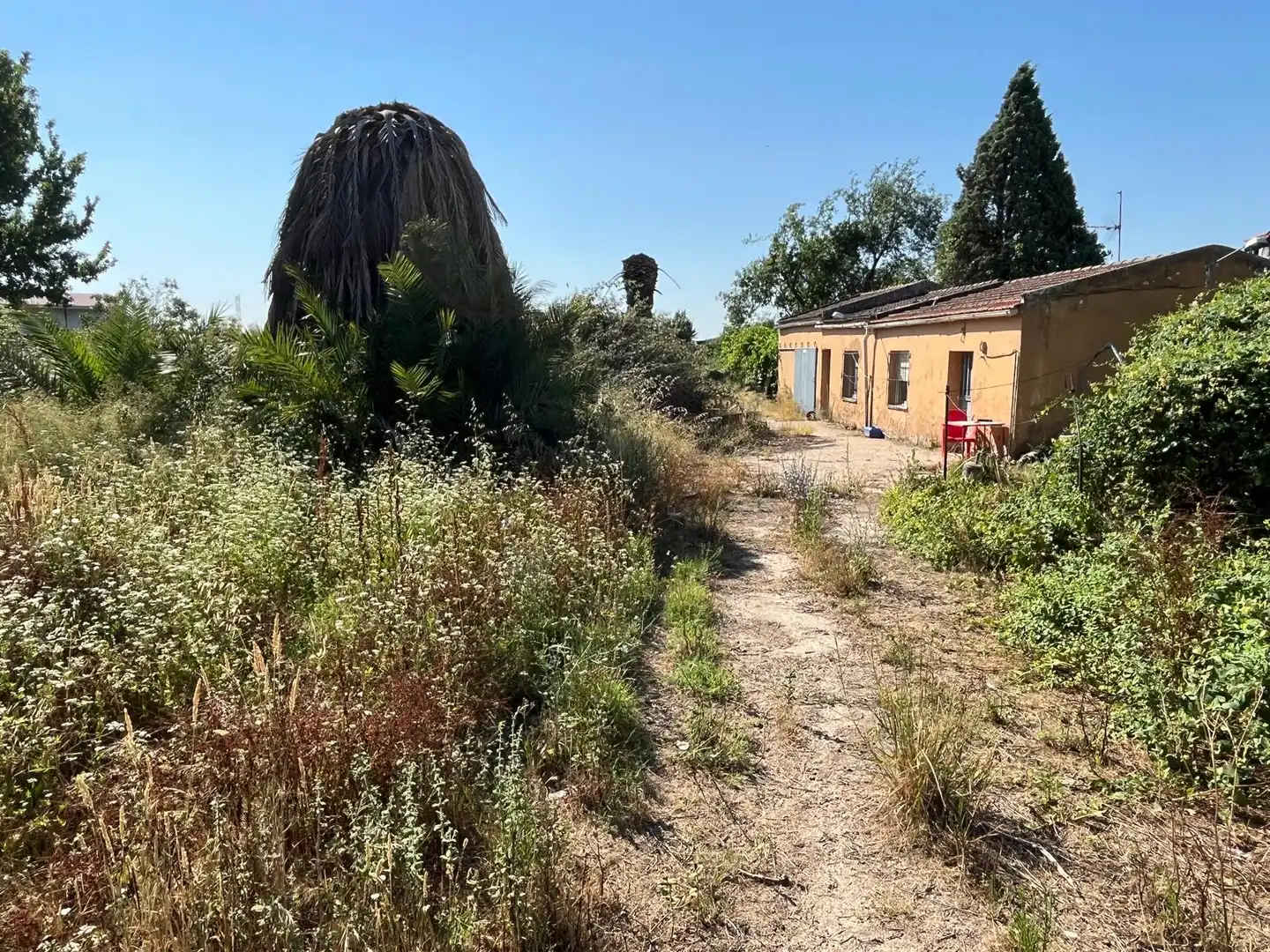 Finca rústica en venda en Talavera de la Reina amb Jardí privat