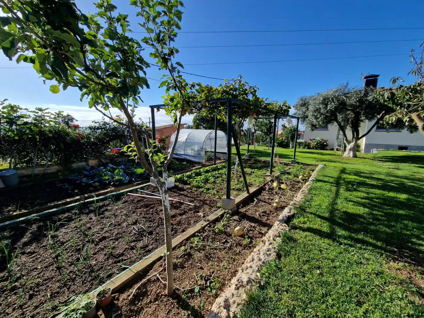 Jardín de Casa o chalet en venta en Sant Pere de Vilamajor con Aire acondicionado, Calefacción y Jardín privado