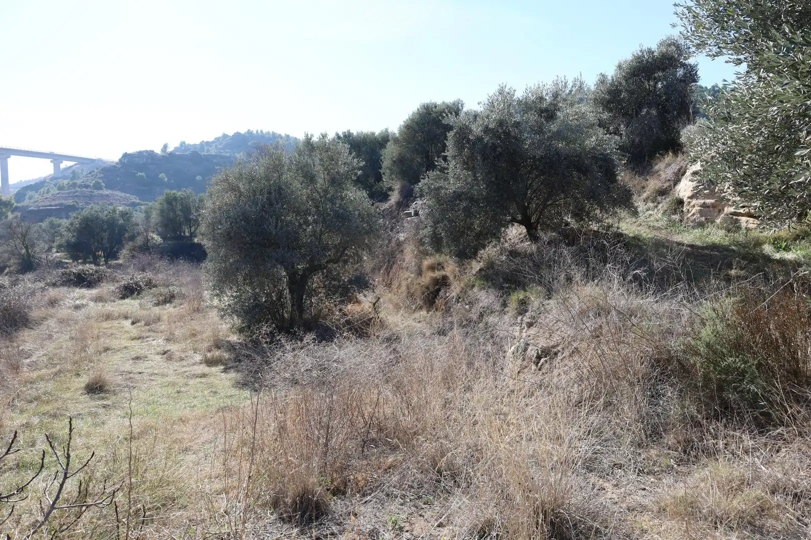 Terreni e lotti in vendita a Camino Polígono 763 Parcela 6204 VUEL MAJ. ALCAÑIZ (TER, imagen 5