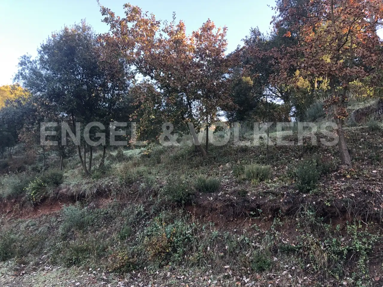 Residential land for sale in Sant Pere de Vilamajor, imagen 6