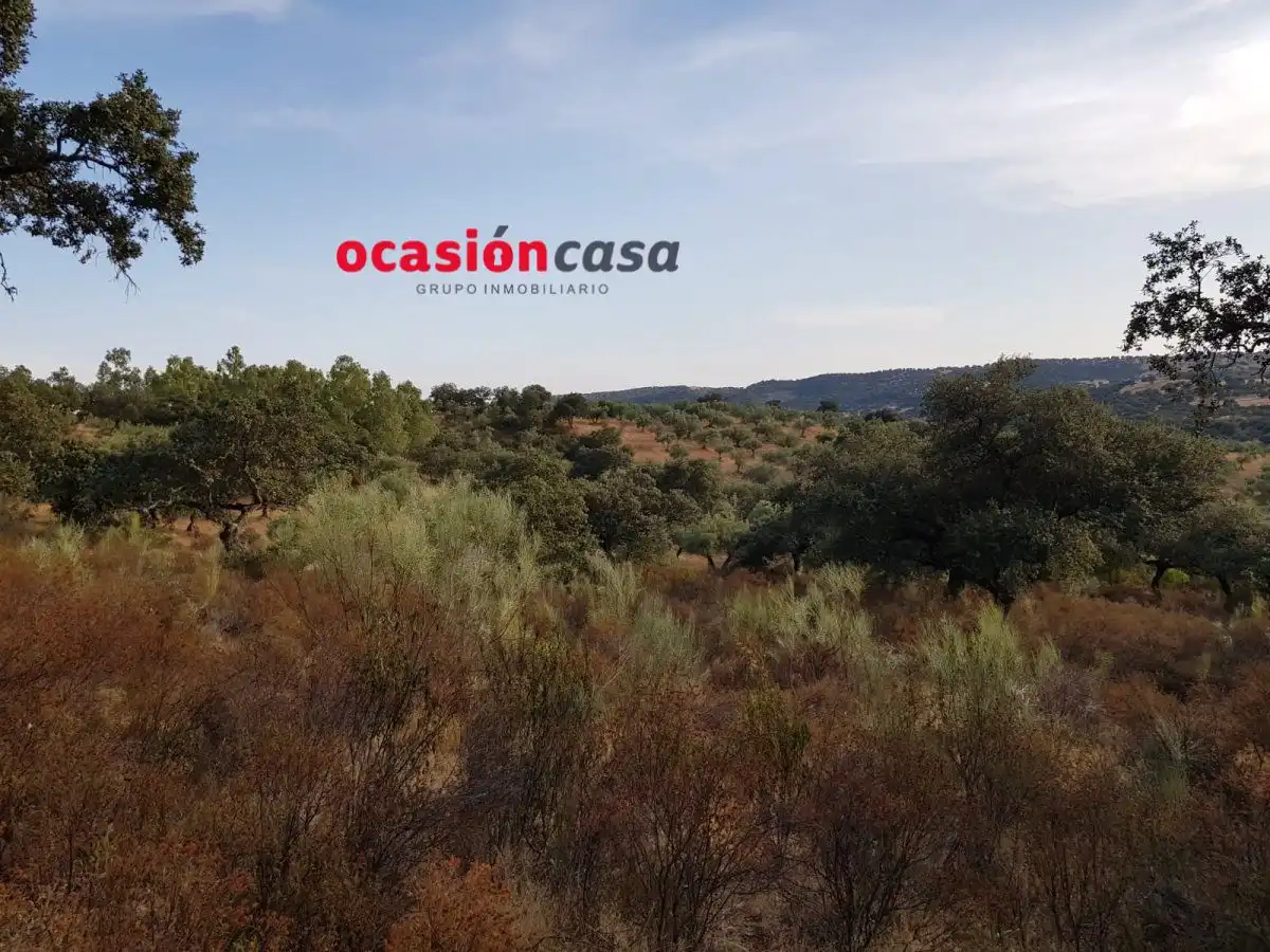 Finca rústica en venta en Espiel con Piscina y Amueblado