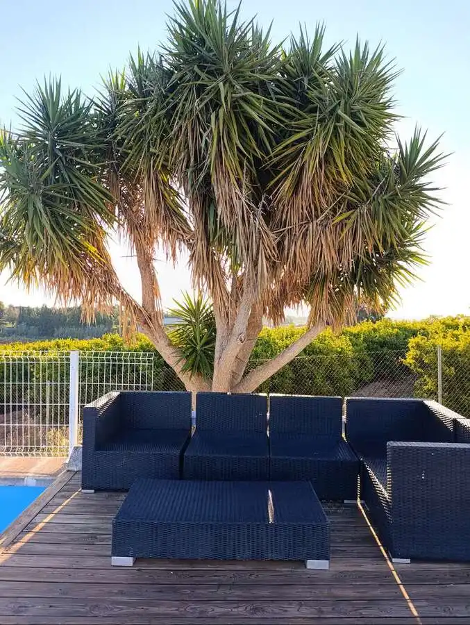 Chalet con piscina en alquiler en Godelleta, imagen 16