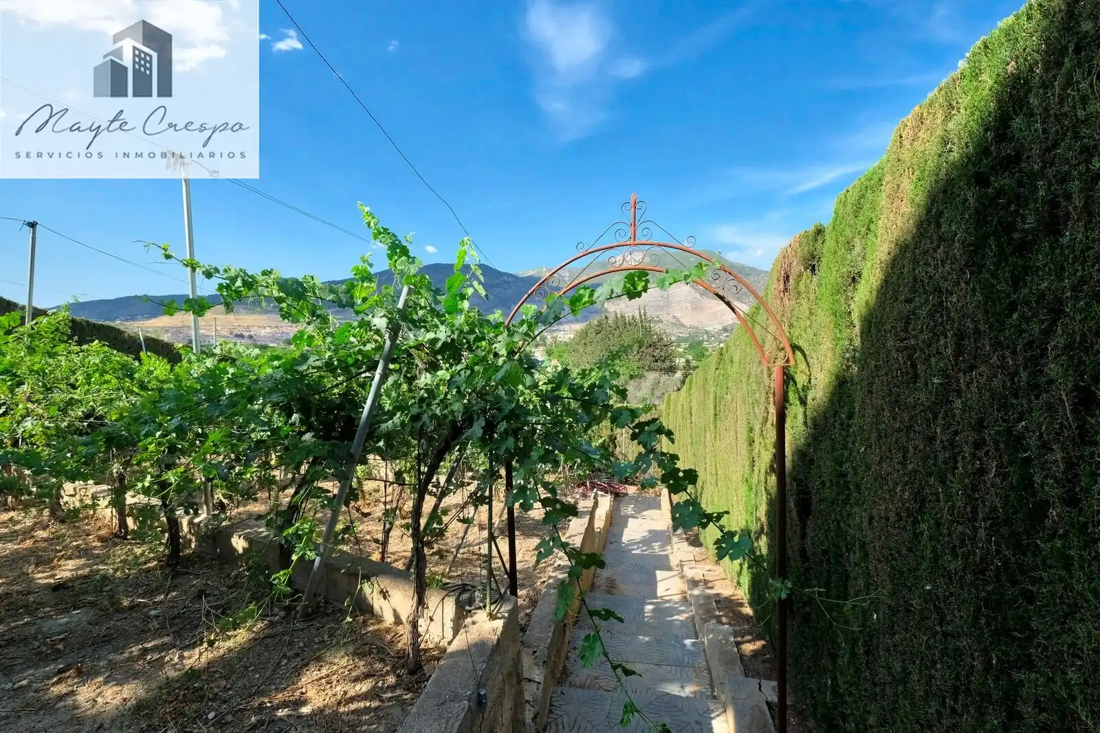 Casa rústica amb piscina en venda a CAMINO VIEJO DE MOTRIL, imagen 20