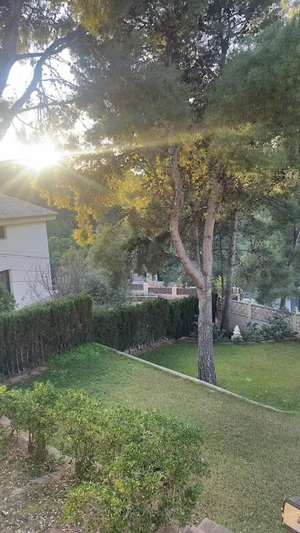 Finca rústica de alquiler en FUENTE DEL ORO, San Miguel - El Paraiso