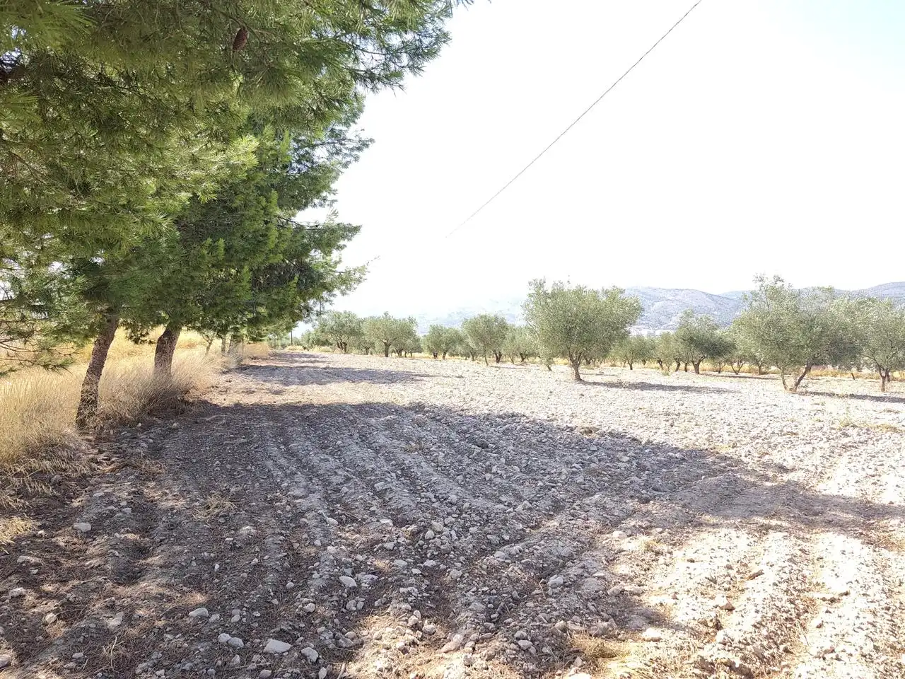 Terreno rustico in vendita a Castalla, imagen 33