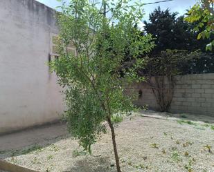 Garden of House or chalet to rent in Sineu  with Air Conditioner and Terrace