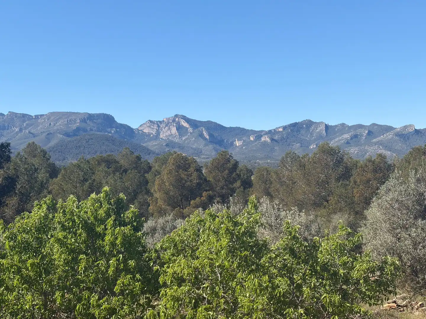 Finca rústica en venta en Tivissa