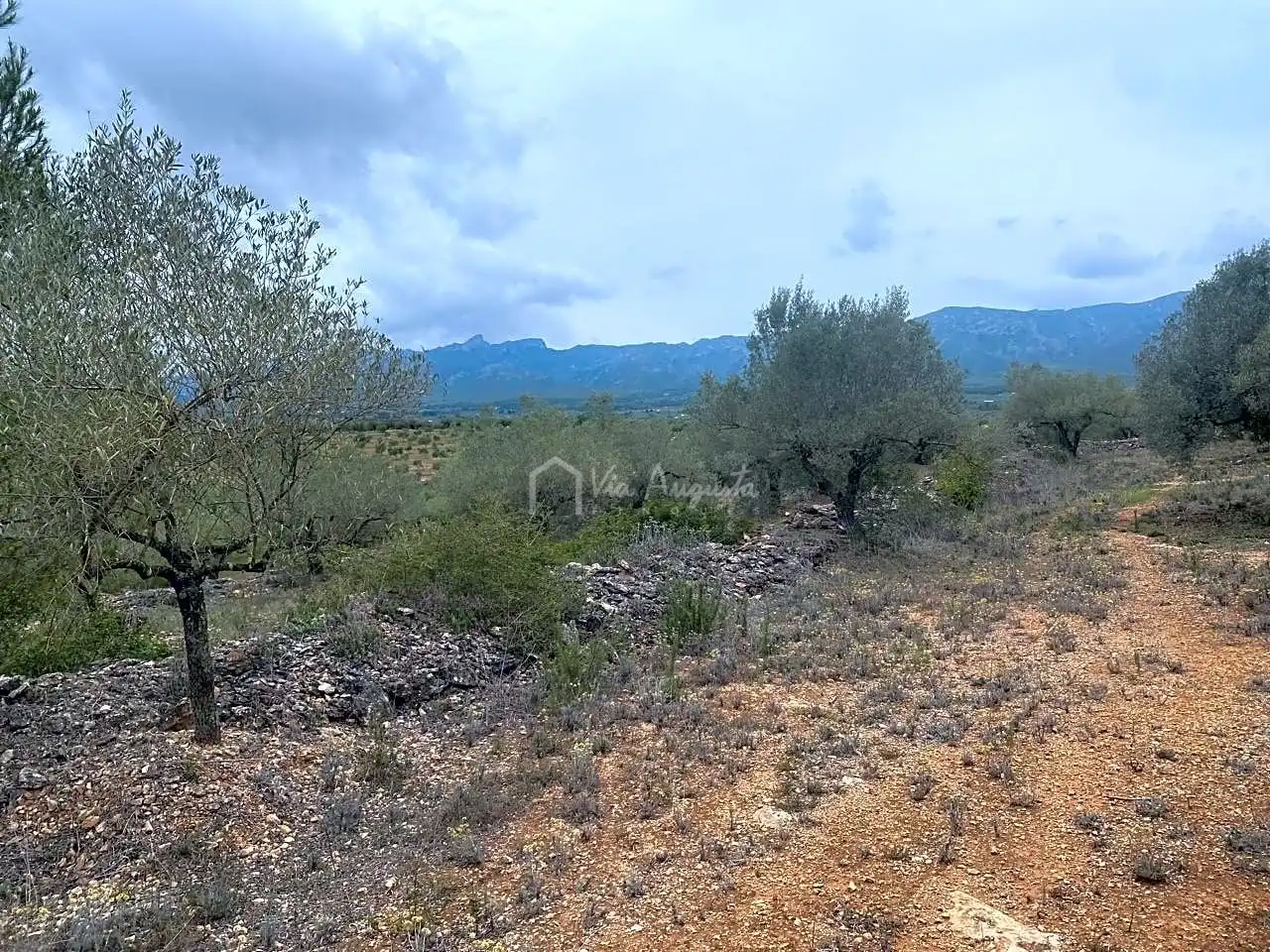 Terreno rustico in vendita a Burga, imagen 15