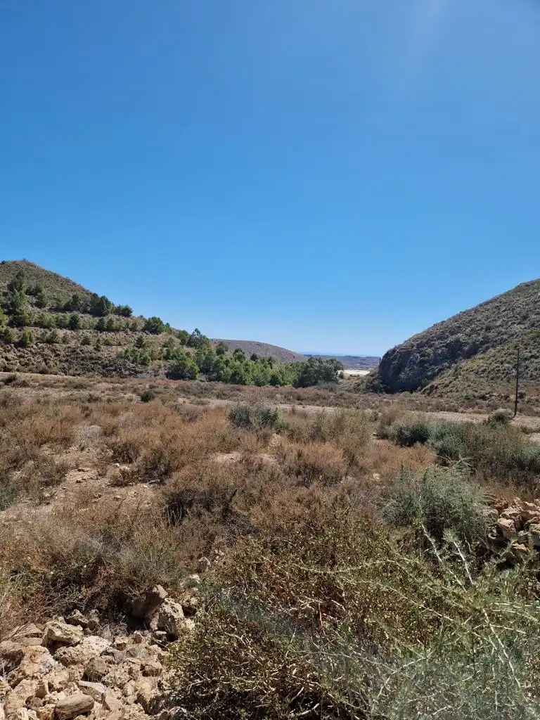 Rustikales Grundstück zum Verkauf in Pedanías Oeste, imagen 6