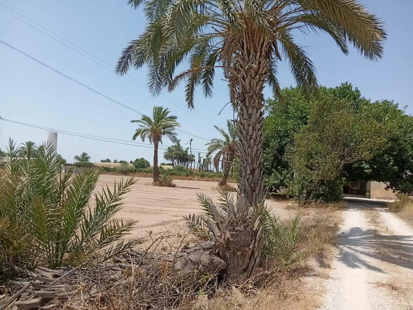 Houses for sale in Puçol