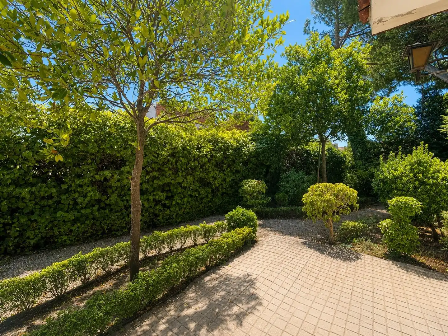 Jardí de Casa o xalet en venda en Arganda del Rey amb Jardí privat