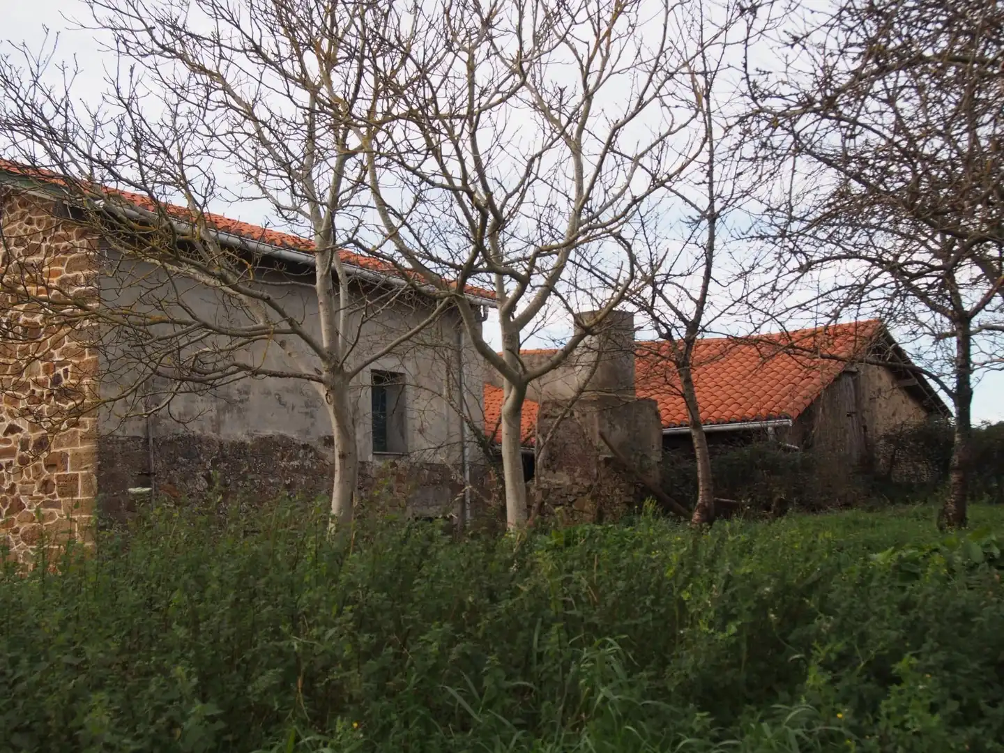 Vista exterior de Finca rústica en venta en Mendexa con Jardín privado