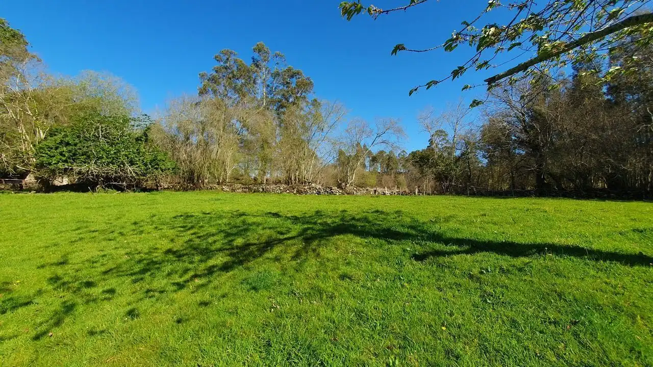 Finca rústica en venta en Llanes
