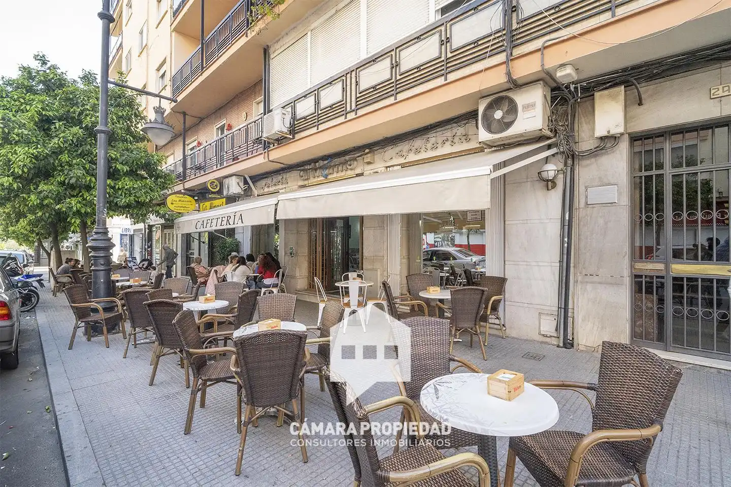 Duplex avec terrasse à vendre à Avenida Alcalde Federico Molina Orta, imagen 46