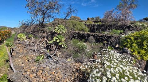 Foto 3 von Grundstücke zum Verkauf in Santiago del Teide pueblo, Santiago del Teide