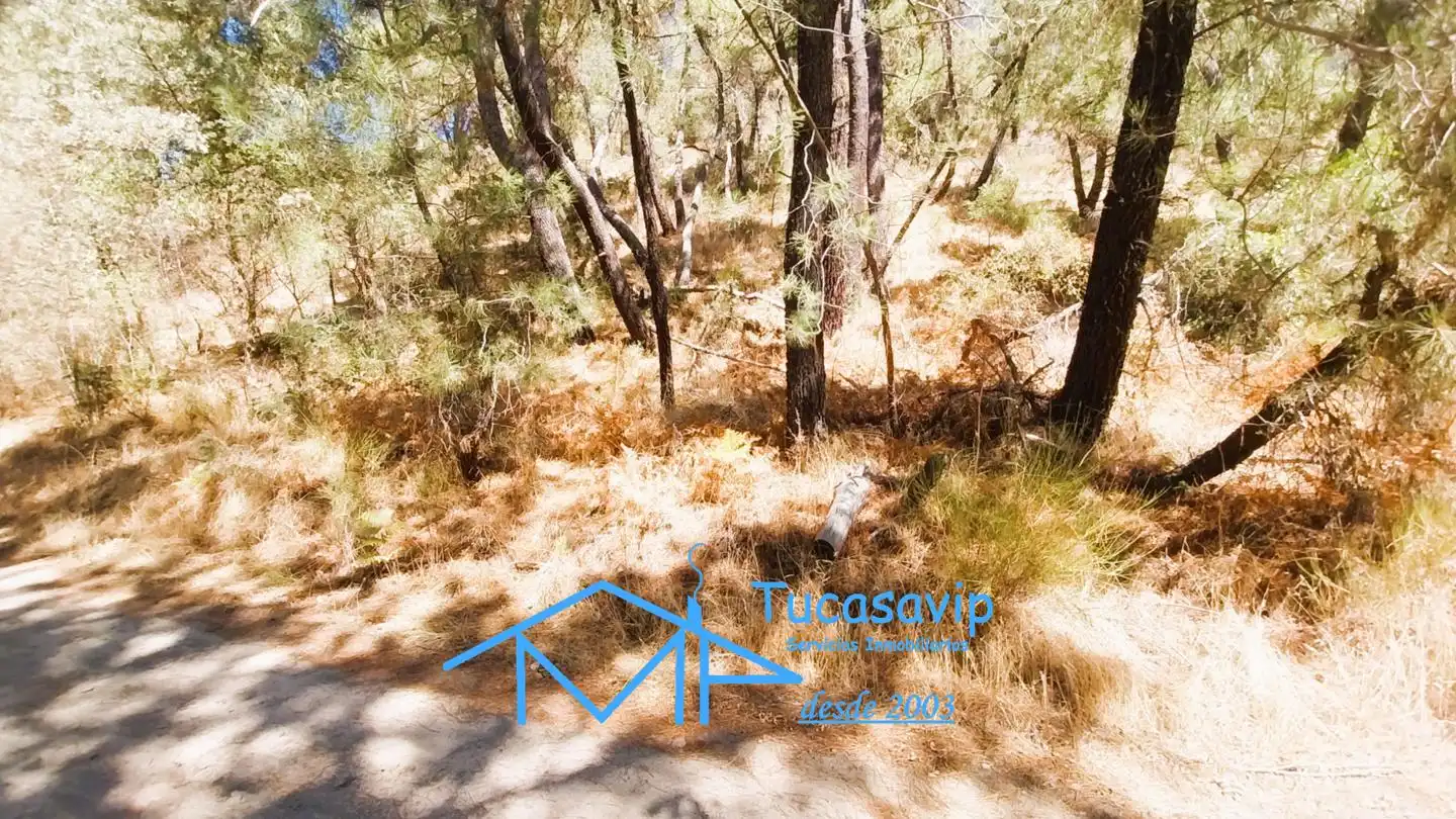 Terreno en venta en Cadalso de los Vidrios