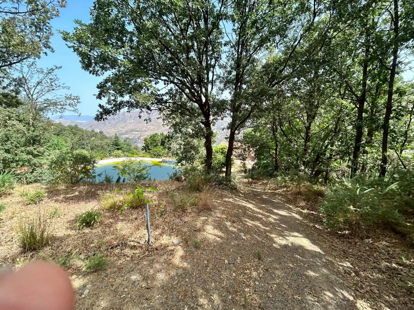 Casa amb jardí en venda a Güéjar Sierra, imagen 30