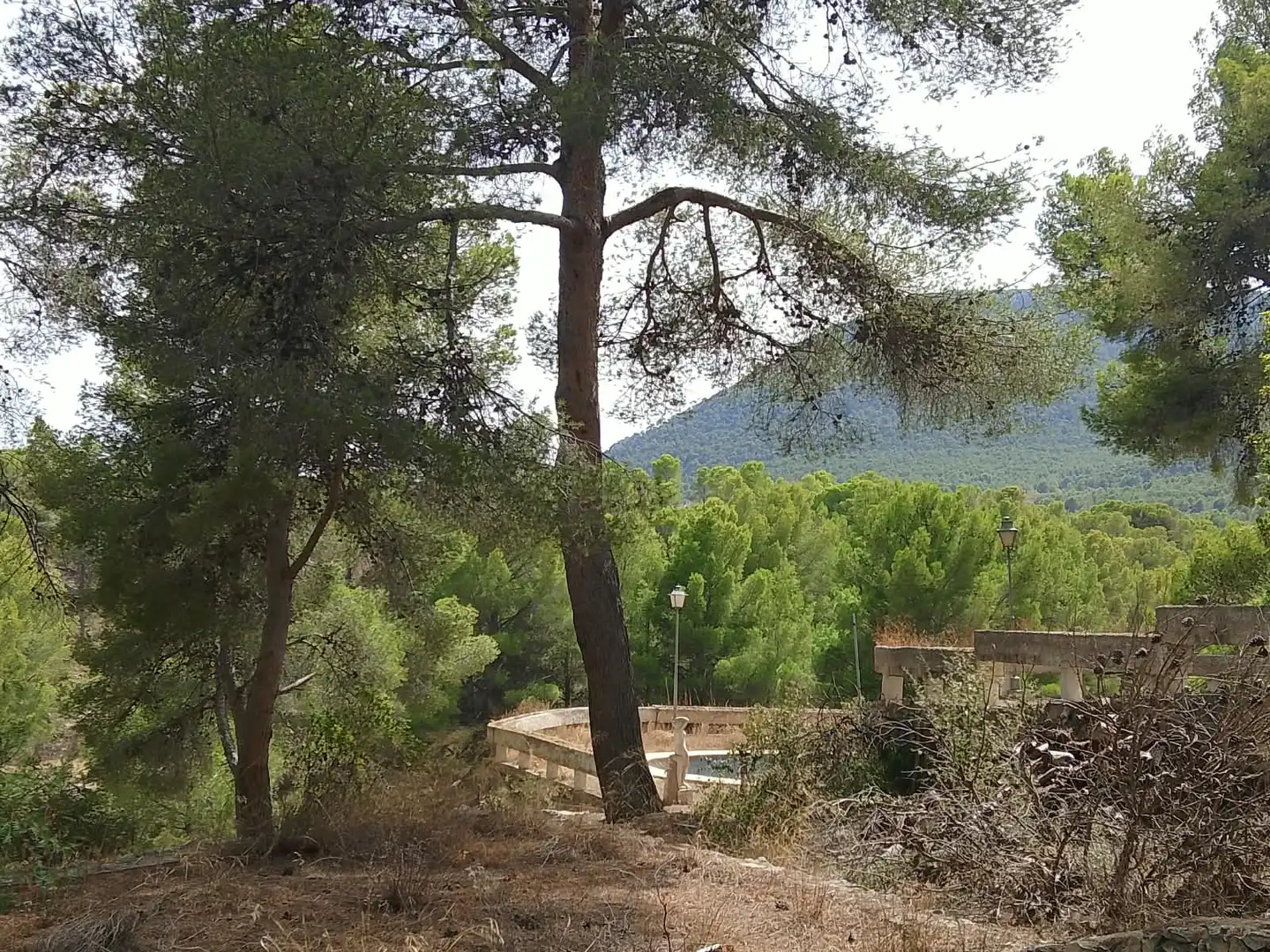 Finca rústica en venta en Tibi con Jardín privado y Terraza