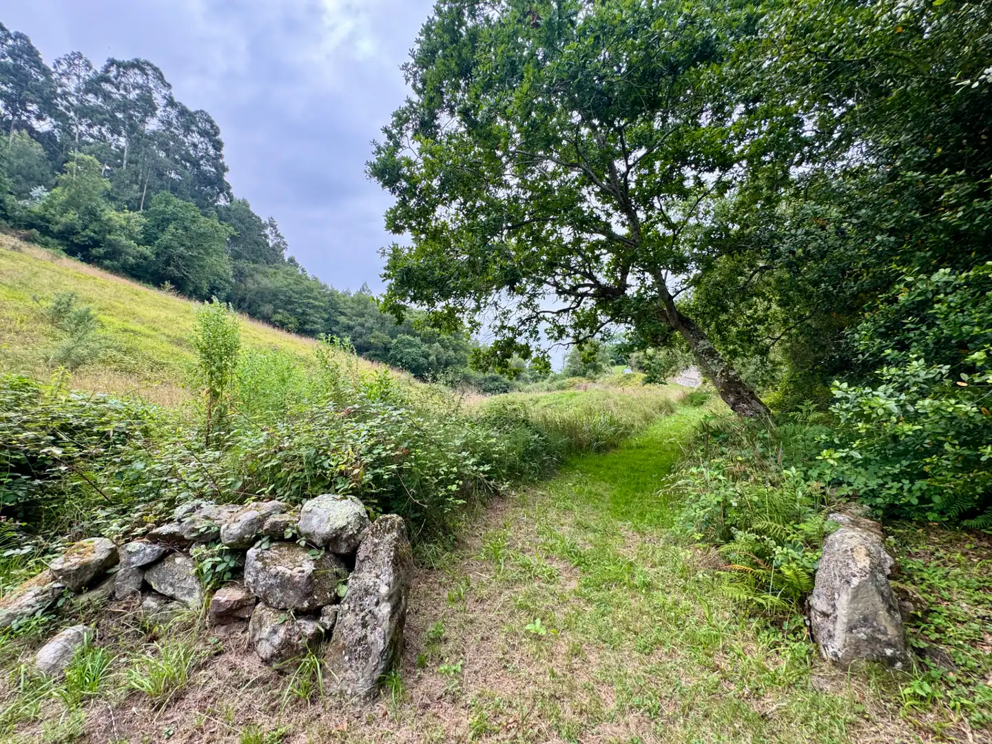 Terreno en venta en Villaviciosa