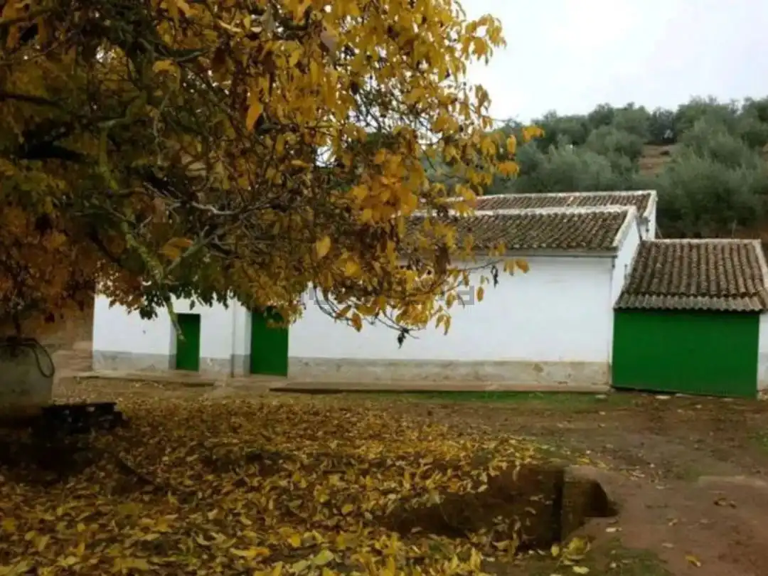 Außenansicht von Grundstücke zum Verkauf in Constantina