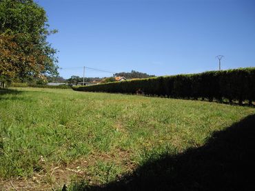 Terreny residencial en venda a San Mateo - Castro- O Val