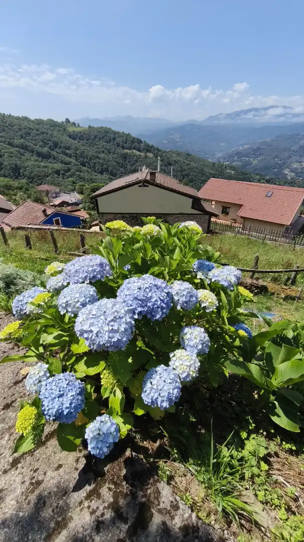 Jardí de Casa o xalet en venda en Mieres (Asturias) amb Jardí privat, Terrassa i Traster