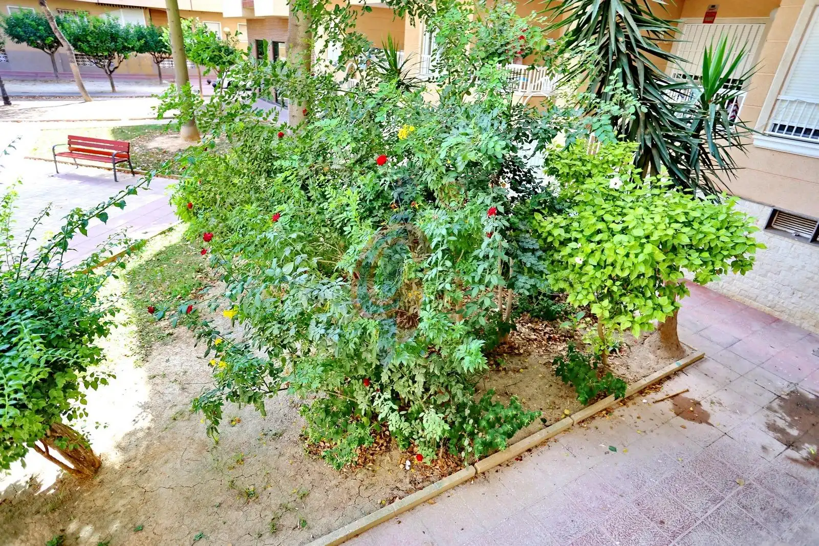 Jardín de Piso en venta en Guardamar del Segura con Aire acondicionado, Terraza y Amueblado