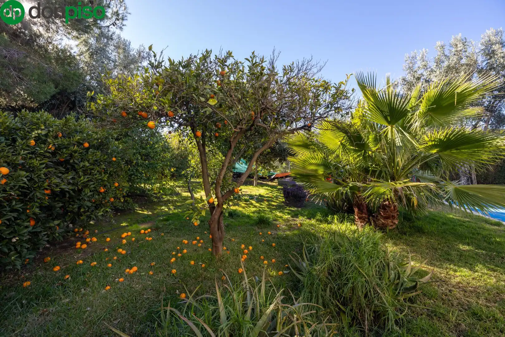 Villa avec terrasse à vendre à Calle del Nacimiento, imagen 48