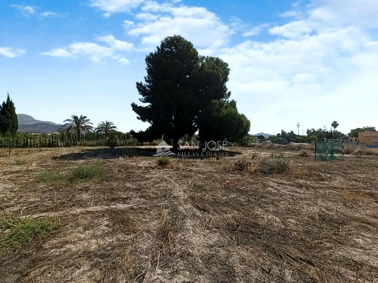Rural land for sale in Novelda, imagen 3