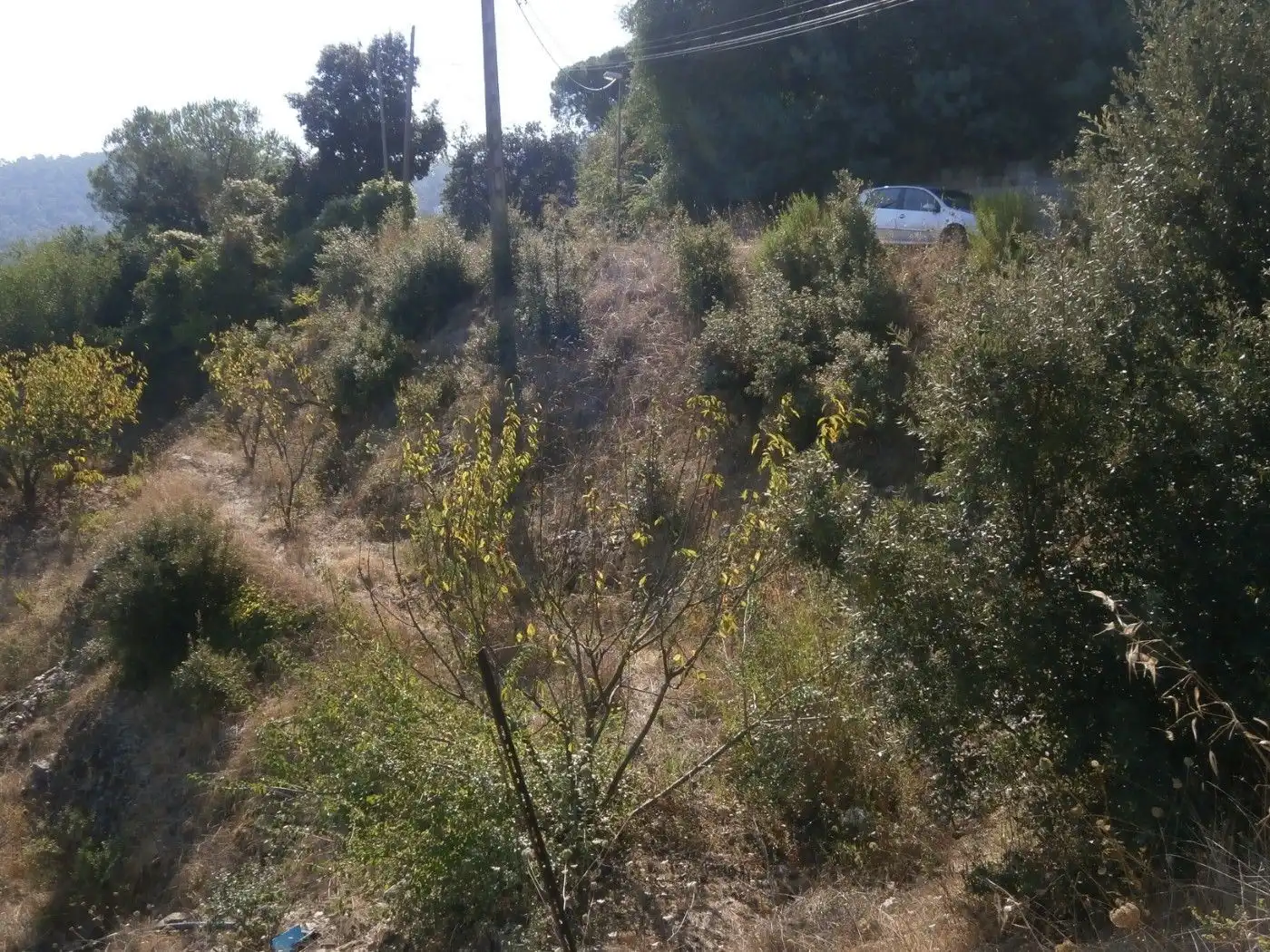 Residential for sale in Carrer de les Alzines, 4, Torrelles de Llobregat