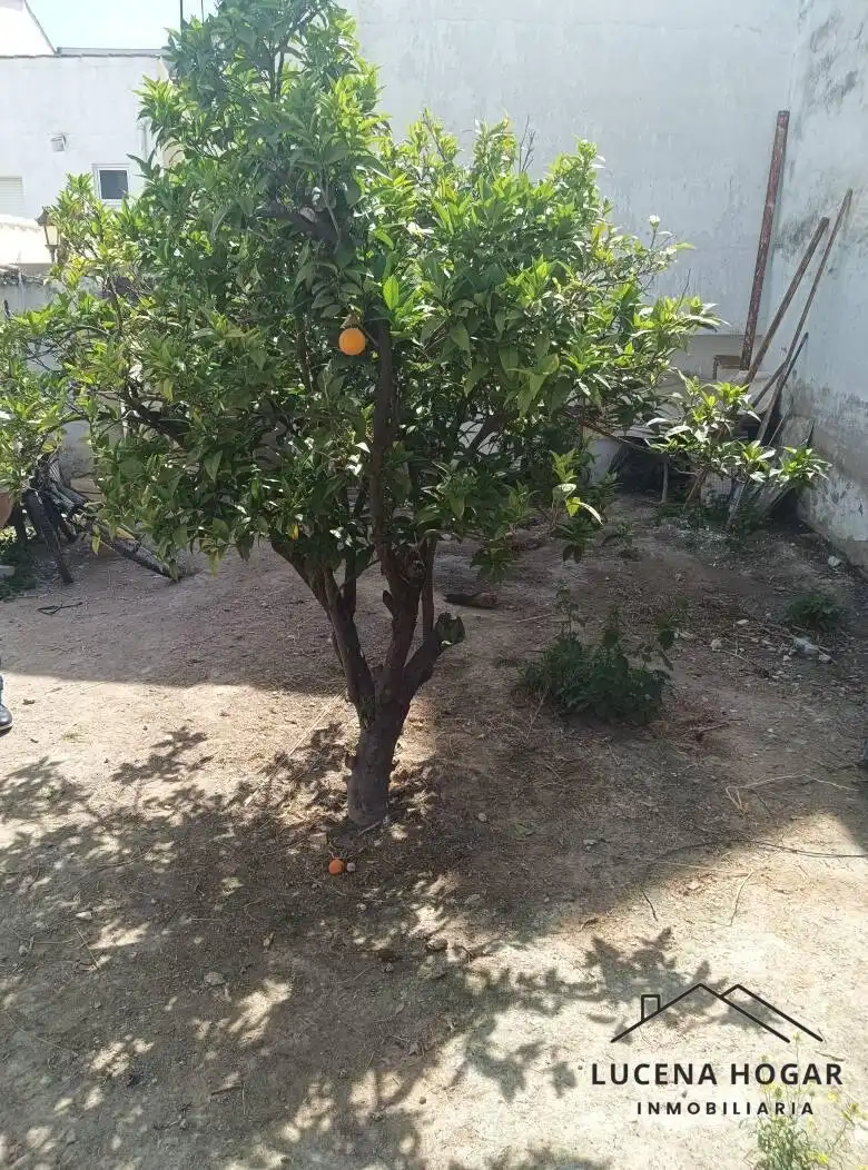Casa en venda a El Carmen - La Barrera, imagen 38