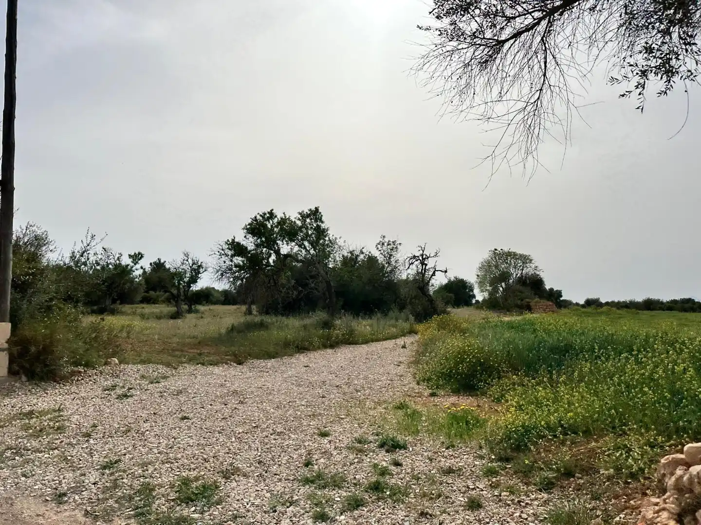 Country homes for sale in Algaida  with Private garden