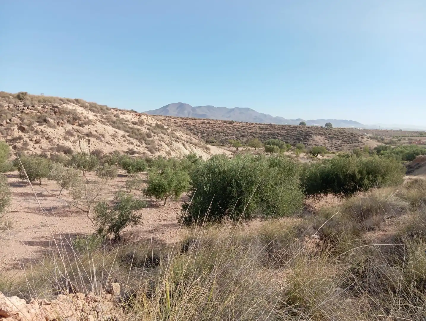 Casa rústica en venda a Cuevas del Almanzora pueblo, imagen 31