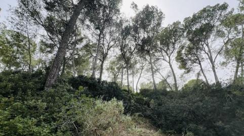 Photo 2 of Residential for sale in Portals Nous, Illes Balears