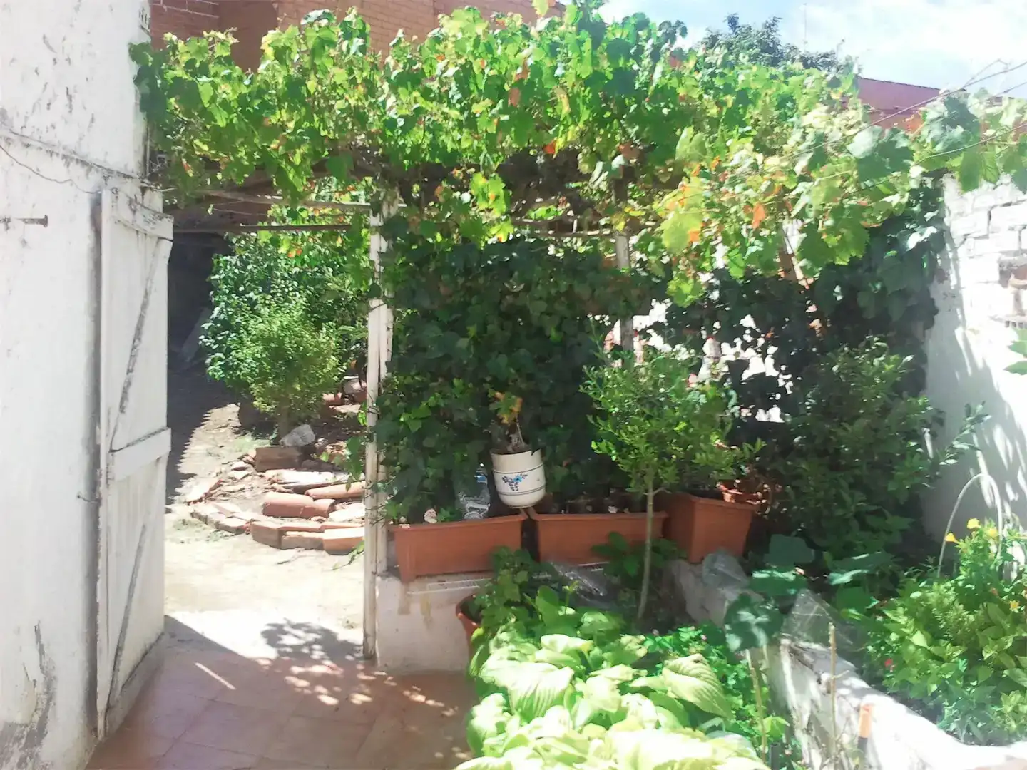 Casa o chalet en venta en Florida, 19, Benavente