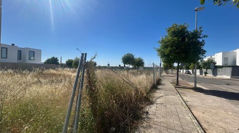 Foto 4 de Residencial en venta en Escritor Francisco Portes, Centro, Utrera