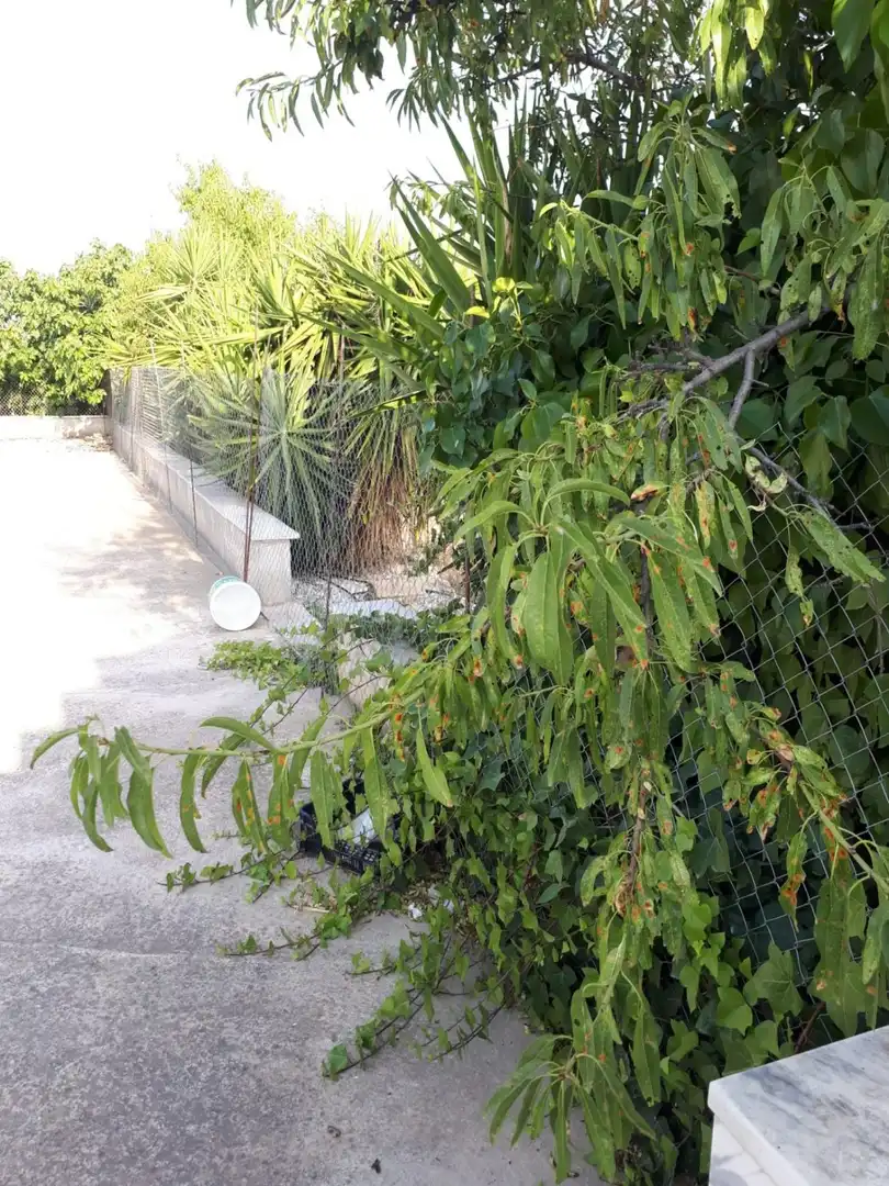 Jardí de Finca rústica en venda en Urrácal amb Aire condicionat, Jardí privat i Traster