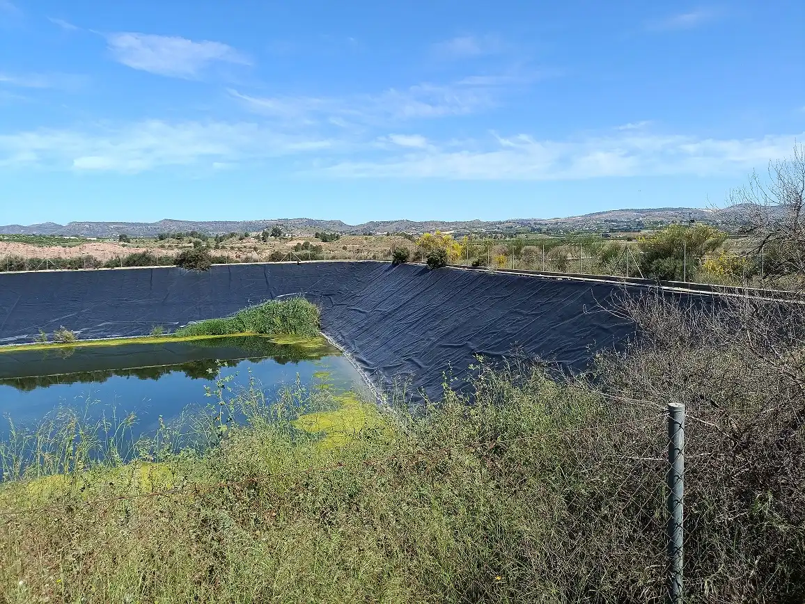 Lands and plots for sale in Mula, imagen 2