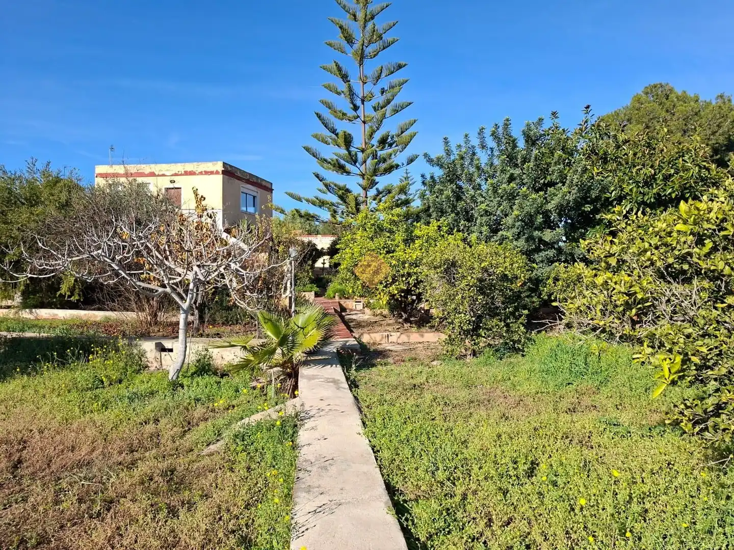 Villa mit Pool zum Verkauf in Centro, imagen 31