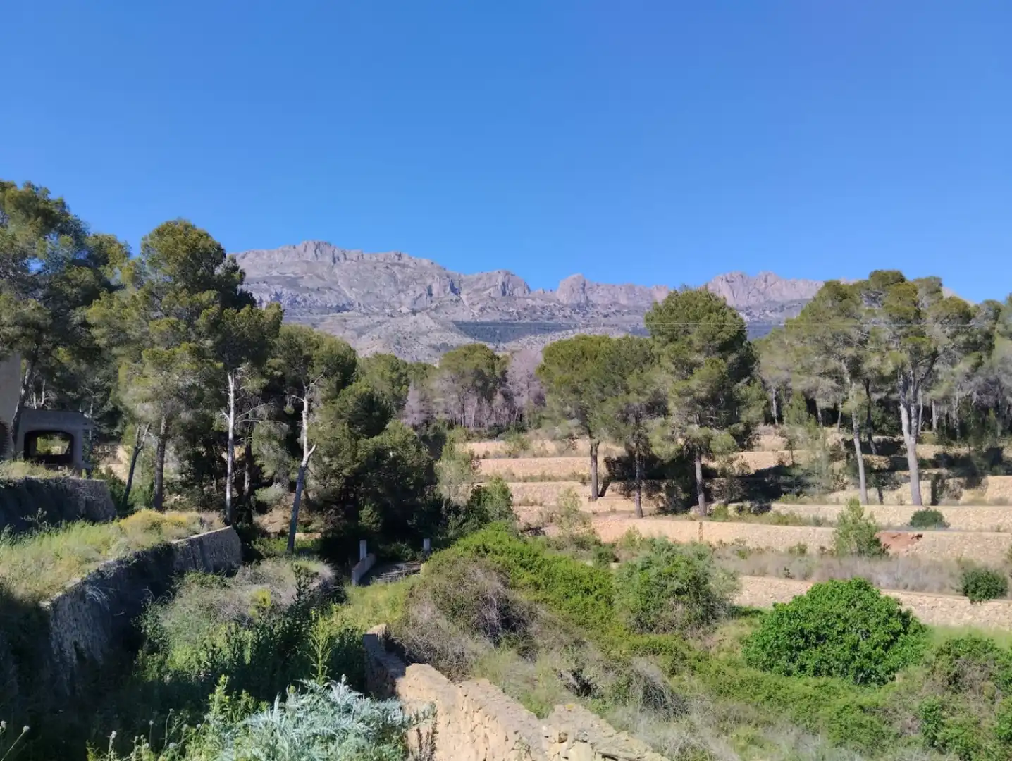 Villa con piscina in vendita a Altea la Vella, imagen 40