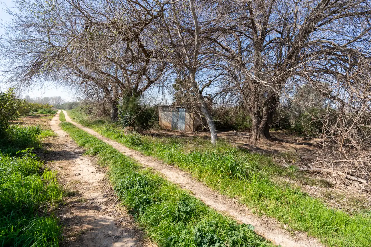 Rural land for sale in Vinallop, imagen 6