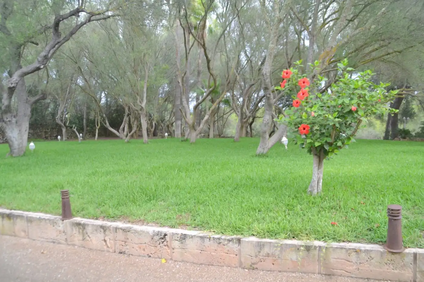 Finca rústica en venta en Son Gual