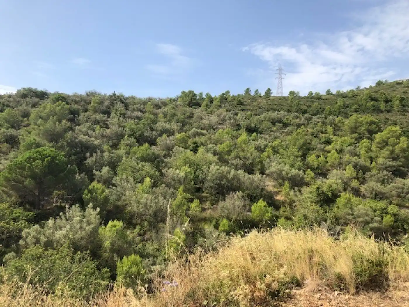 Rural land for sale in Alcanar, imagen 2