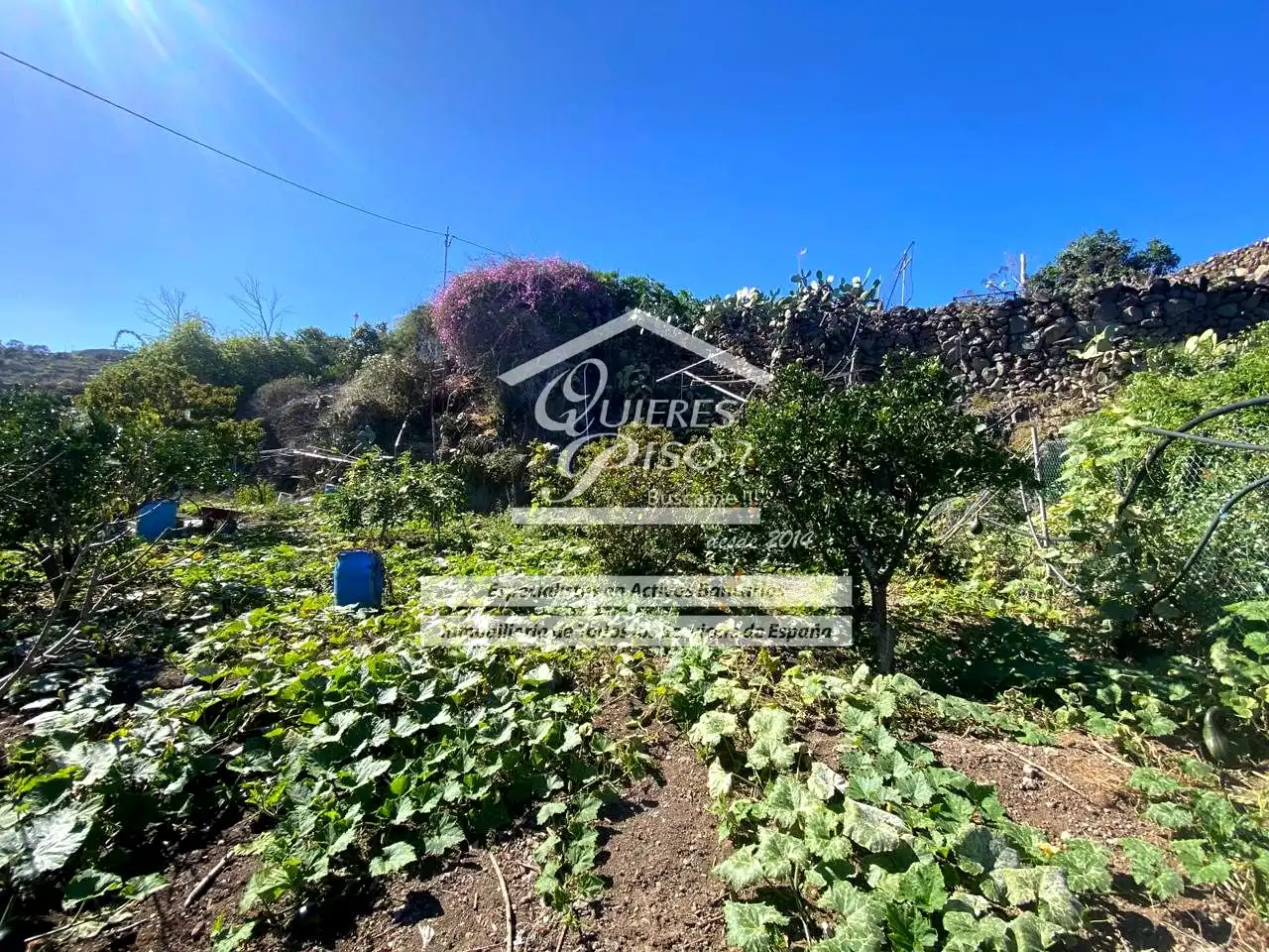 Maison rustique avec jardin à vendre à Casas de Aguilar, imagen 19